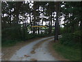 Access road from Scout Dike Reservoir