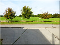 SU7121 : View across field to Nutcombe Copse from Harroway Farm by Shazz
