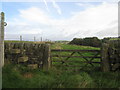 Footpath to Jack Bridge