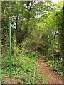 Footpath, Coombe Dingle