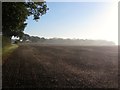 Clapper Field/Little Clapper Field/Cuckfield Field/Nine Acres