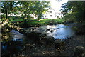 Ford and Stepping Stones at Dunsford