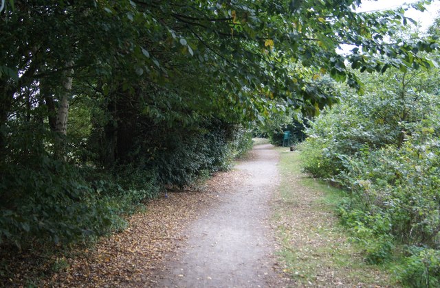 Path beside Cove Brook