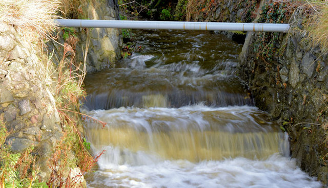 Stream, Moat Park, Dundonald (October 2014)