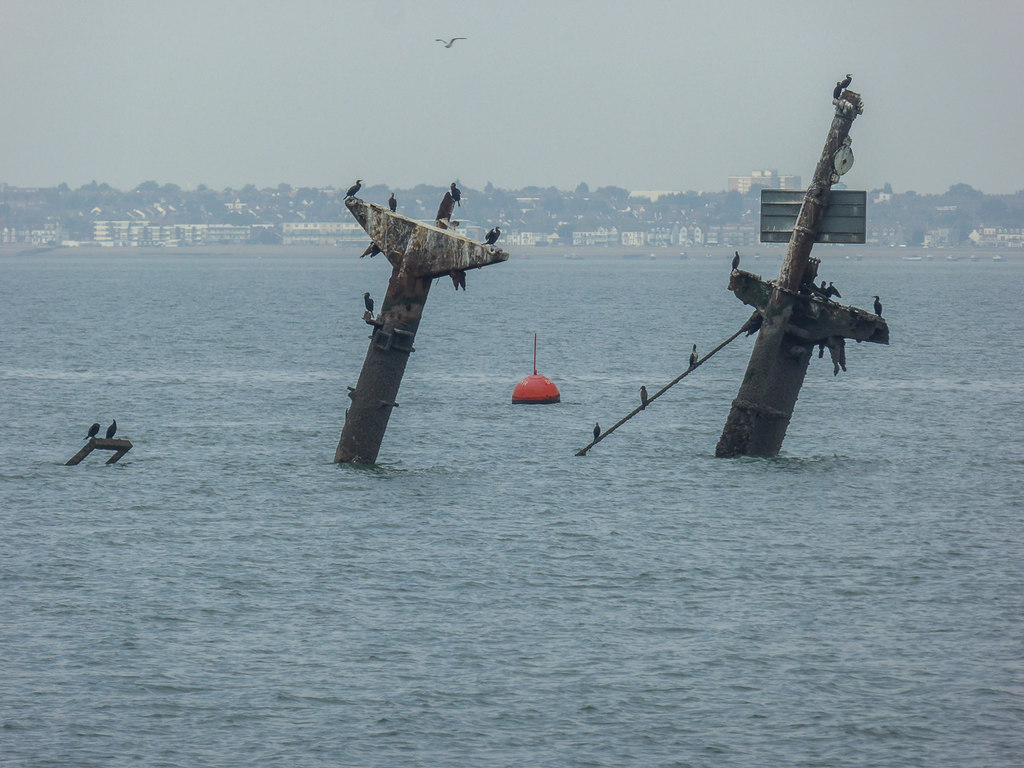 Wreck Of The SS Richard Montgomery Off Christine Matthews Cc By   4194776 C31ac57f 1024x1024 