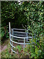 Footpath enters Blagden Copse