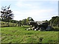 Annadorn Dolmen, Loughinisland