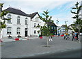 S7176 : Carlow Town Hall by Humphrey Bolton