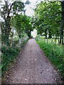 The South Downs Way along the top of Tegdown Hill