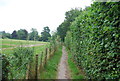 Footpath in Ardingly