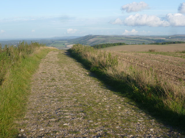 The South Downs Way on Bignor Hill