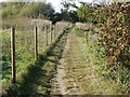 River Thames path