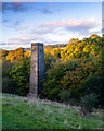 Ingersley Vale Mill Chimney