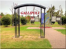 SK1814 : Gallipoli Memorial at the National Memorial Arboretum by David Dixon