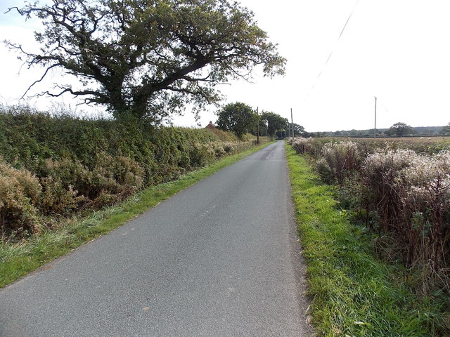 Road through Brockhurst