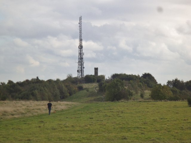 Walk to the Masts