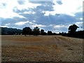 Stubble field near Temple Lane