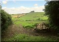 View from Trewint Lane