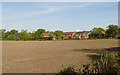 View from Church Lane, Hayton