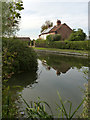 Looking towards Lily Cottage