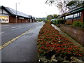 Low level stone wall with berried coping, Omagh