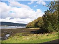 NS2682 : The foreshore at Rosneath Bay by Elliott Simpson