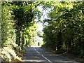 The tree-lined Loughinisland Road just west of the Annadorn Cross Roads