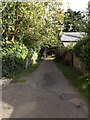 TL7348 : Path to All Saints Church by Geographer