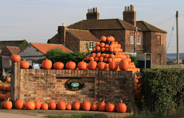Pumpkin display at Howe Bridge Farm