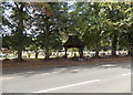 Tree-lined edge of Whitchurch Road Cemetery, Wem