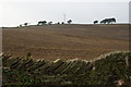 Arable field by Cartworth Moor Road