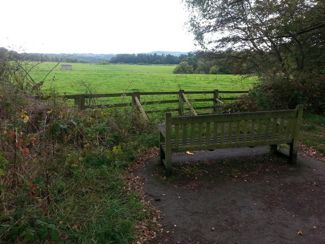 Seat on the Derwent Walk near Hamsterley Mill