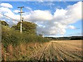 Farmland north of Watlington