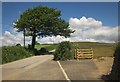 SX3160 : Lane near Padderbury Top by Derek Harper