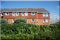 Houses by the railway line