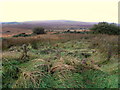 Ballynasollus Townland