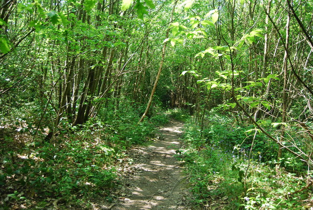 High Weald Landscape Trail, High Wood © N Chadwick cc-by-sa/2.0 ...