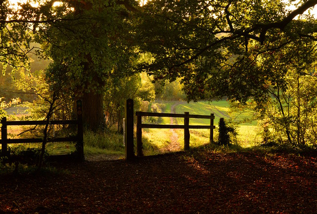 Gateway from Sulham Wood to the Pang... © Edmund Shaw :: Geograph ...