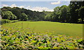 Seaton valley below Courtney