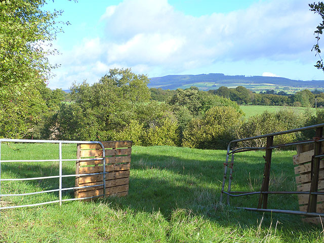 Field gateway at Ballymoney