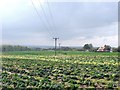 Fields at Well Cross Farm, Up Holland