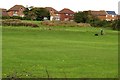 Houses on Groundwell Ridge