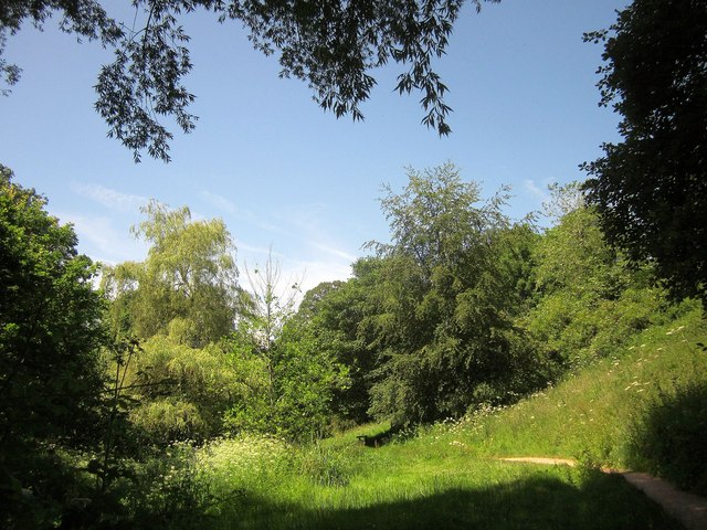 Path along Cockington valley