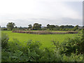 Landscape near Clayworth