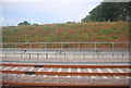 New sidings north of Horsforth Station