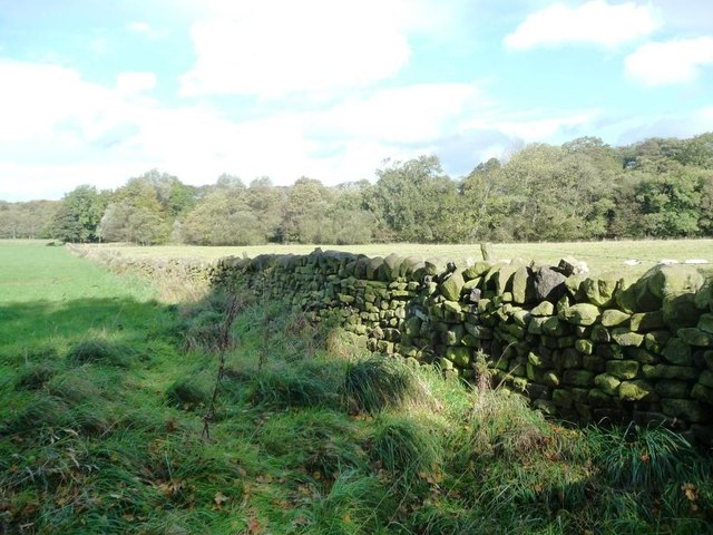 Field boundary, south of Hepper Carr