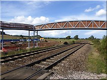 SX9784 : New bridge being constructed, Powderham (2) by David Smith