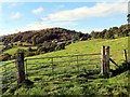 Ger Ffarm Trebannau / Near Trebannau Farm