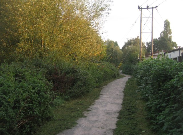 Path by Cove Brook