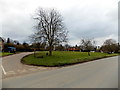 Bench at the northern edge of Ham Green